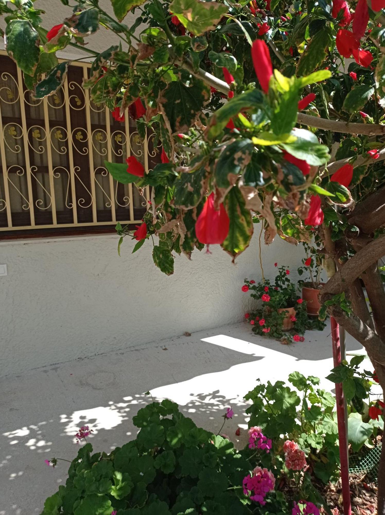 Tasos Seagull Apartments Chania  Buitenkant foto